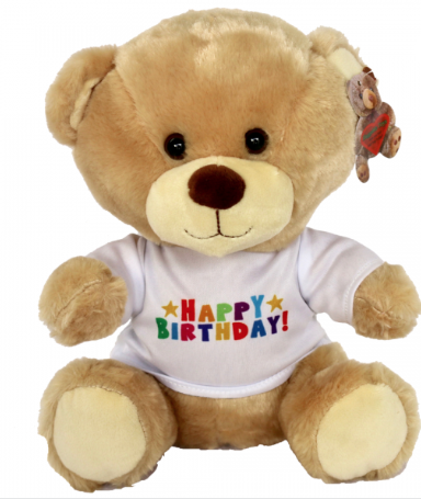 (image for) Huggable Birthday Bear (25cm)